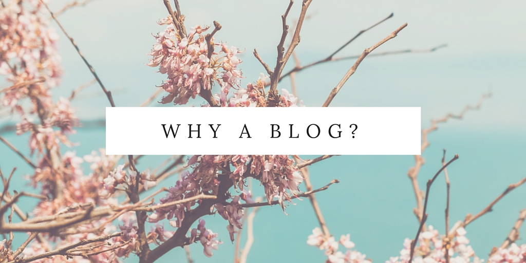 Why a blog-